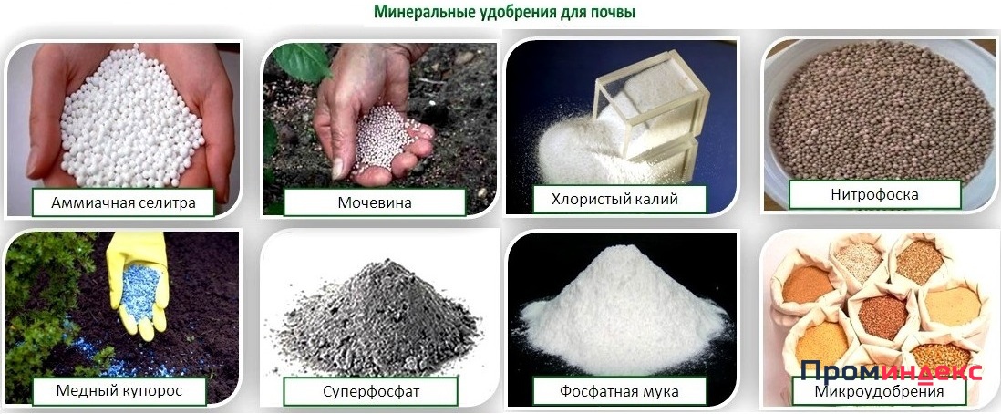 Закупаем калийные удобрения купить в Новосибирске, цена 200 руб. от ...