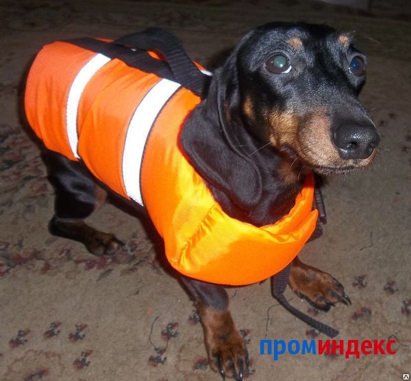 Фото Спасательный жилет для собак размер М