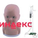 Фото Модель головы ребенка для венопункции G2