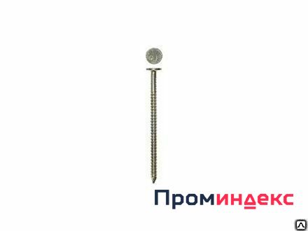 Фото Гвозди ершёные с плоской головкой (кольцевая накатка), 4,2 x 70