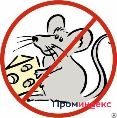 Фото Дератизация - Борьба с крысами, мышами и др.