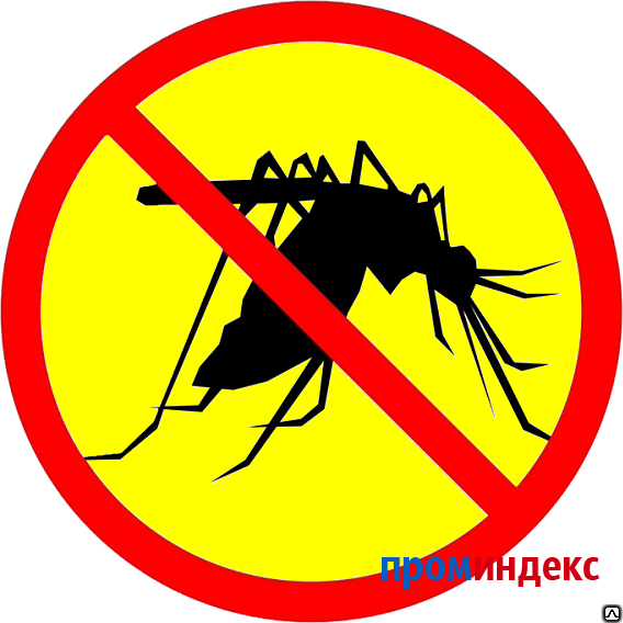 Фото Дезинсекция от комаров
