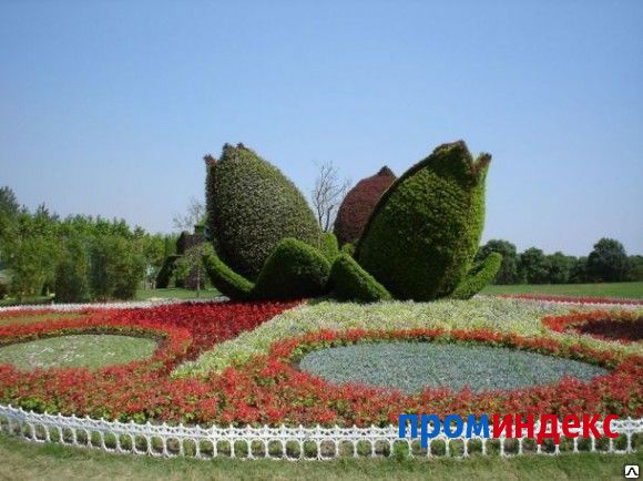 Фото 3D Топиарная фигура "Тюльпаны"