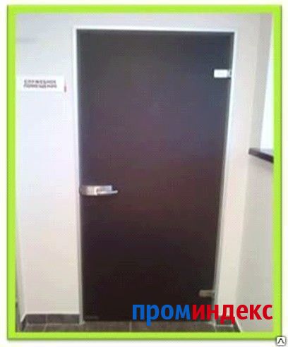 Фото Стеклянная дверь для санитарного узла ДСС-1, стекло матовое 600*2000