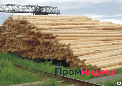 Фото Опоры ЛЭП пропитанные деревянные 6 м