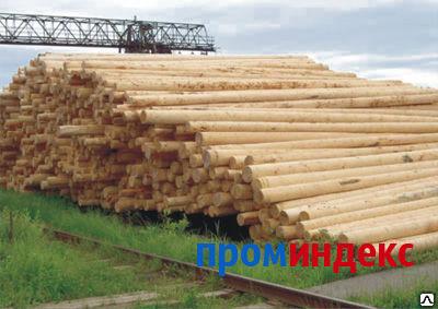 Фото Опоры ЛЭП пропитанные деревянные 6 м