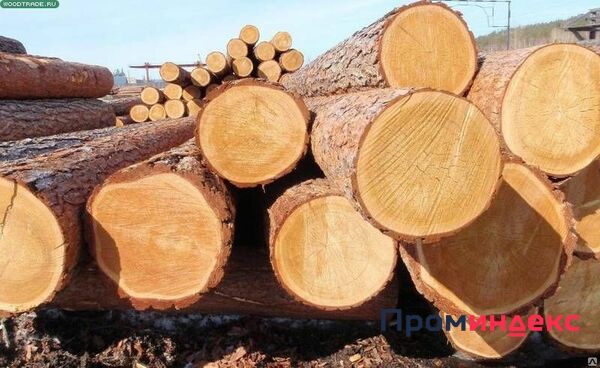 Фото Кругляк деловая древесина, ель, D 30-50 см, ЕВ, Н 6м