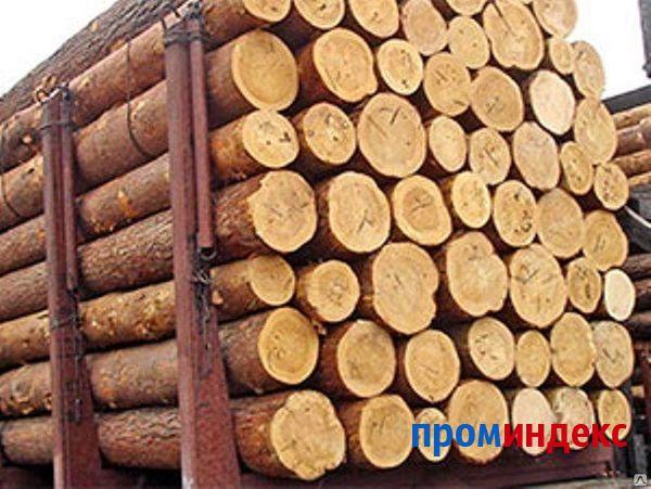 Фото Кругляк деловая древесина, ель, d 30-50 см, ев, н 6м