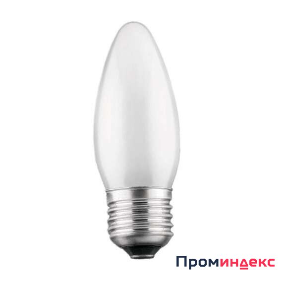 Фото Лампа накаливания ДСМТ 230-40Вт E27 (100) Favor 8109019