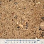 фото ПГС 30/70 Песчано-гравийная смесь 30% щебень и 70% песок ГОСТ 23735-79