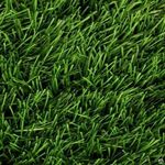 фото Искусственная трава Monofilament ULTRA SPINE 50 мм