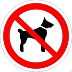 фото Знак Р 14 Запрещается вход (проход) с животными