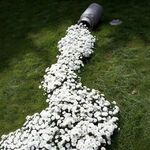 фото Устройство
 сухого ручья шириной до 0,5 м, цветочного