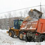 фото Предоставим услуги по уборке снега (10 тонн)