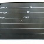 фото Трафарет информационный ( табличка для написания клички, веса, даты рождени
