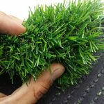 фото Искусственная трава ПЕЛЕГРИН 20 (Высота ворса 20 мм)