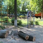фото Спиливание дерева на территории детского сада