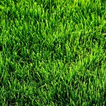 фото Искусственная трава High Grass 2м, Condor