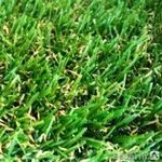 фото Искусственная трава Тропикана 20