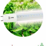 фото Лампа светодиодная для растений FITO-9W-Ra90-Т8-G13-NL Т8 9Вт 46LED 2835 красн. и бел. IP20 35000ч стекло полноспектральная ЭРА Б0042988