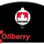 фото Тракторное масло UTTO Petro-Canada Duratran 205L John Deree Case New Hollan