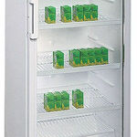фото Шкаф холодильный Бирюса 290Е