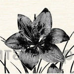 фото Декор Piano черный 400*250 /09-03-04-081-1 Нефрит-Керамика