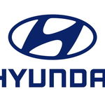 фото Регулировочная прокладка (1.0) (S391-090130) (Hyundai)