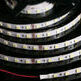 фото Лента светодиодная SMD3528, 120LED/м 12V 9.6W/м 5м, IP20 (интерьерн)