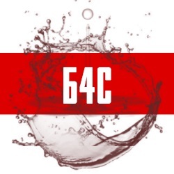 Лого Б4С