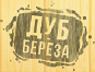 Лого Дуб-берёза