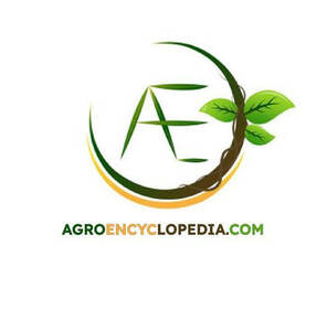 Лого Agroencyclopedia